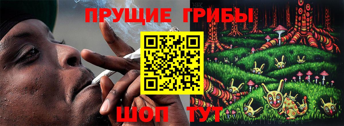 Псилоцибиновые грибы Psilocybe  Вход с VPN  Кизилюрт  Псилоцибиновые грибы MAGIC MUSHROOMS 